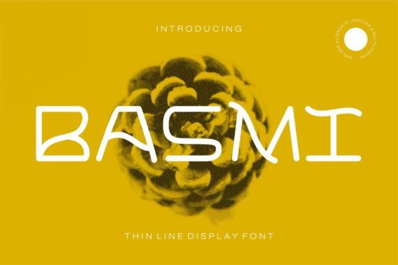 Basmi Display Font: Bringing Quirky Personality to Branding