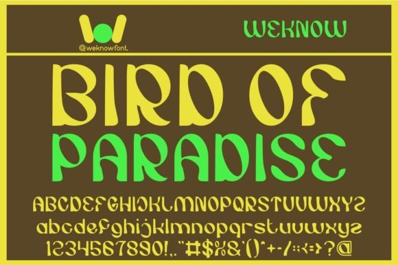 Bird of Paradise Font: A Display Typeface for Campaign Design